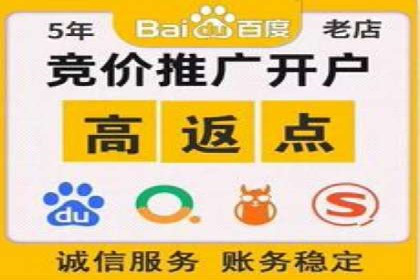 竞价广告的投放策略与效果评估——以一成功企业为例